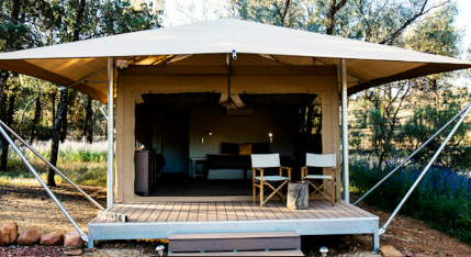 Safari Tent